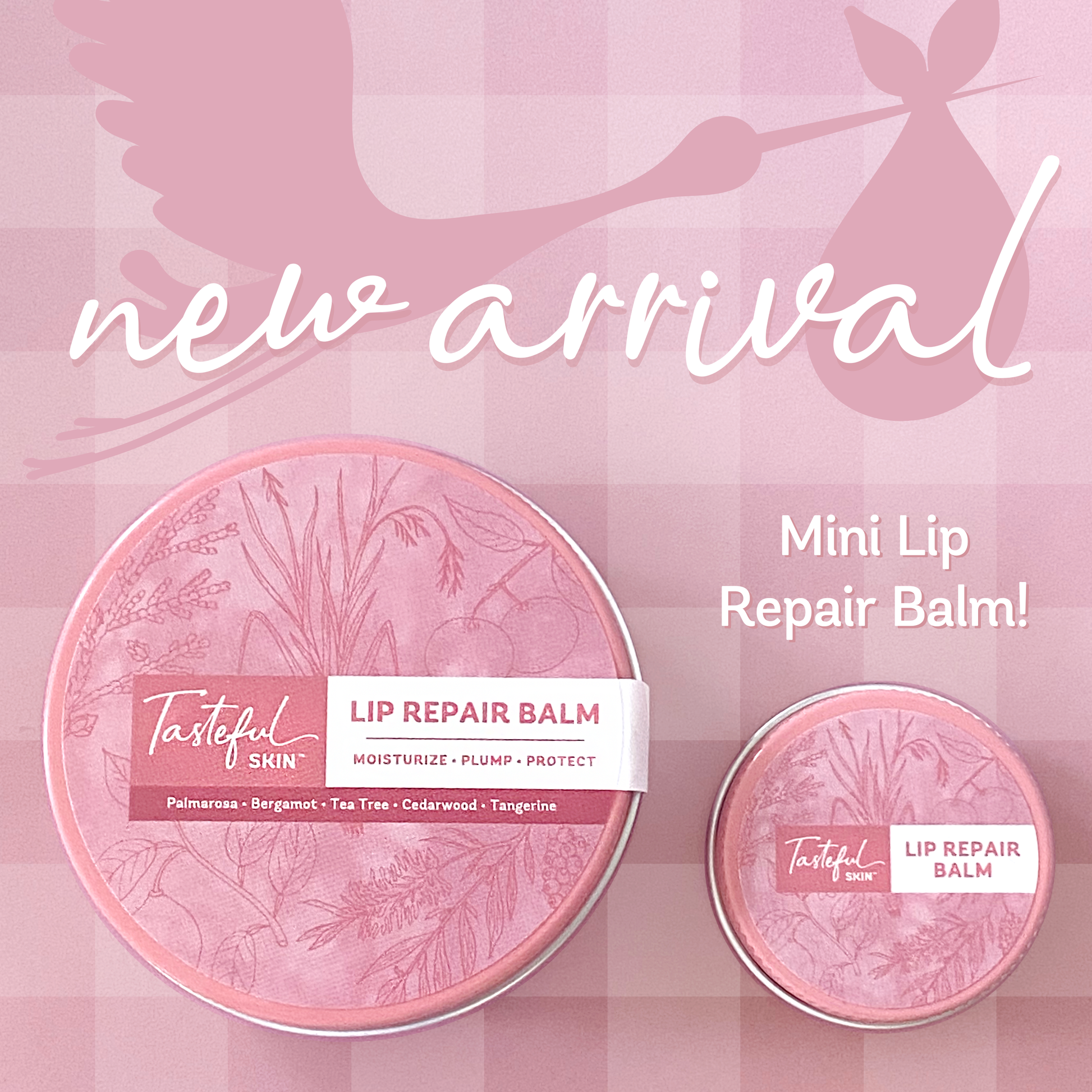 Lip Repair Balm-Tasteful Skin